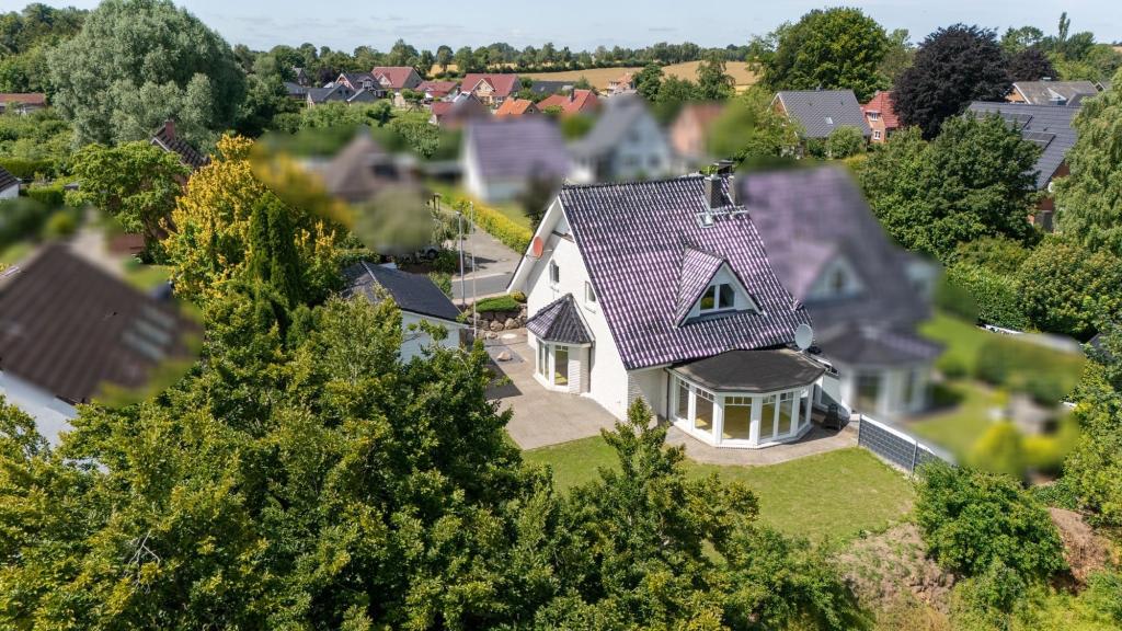 Seitlicher Blick