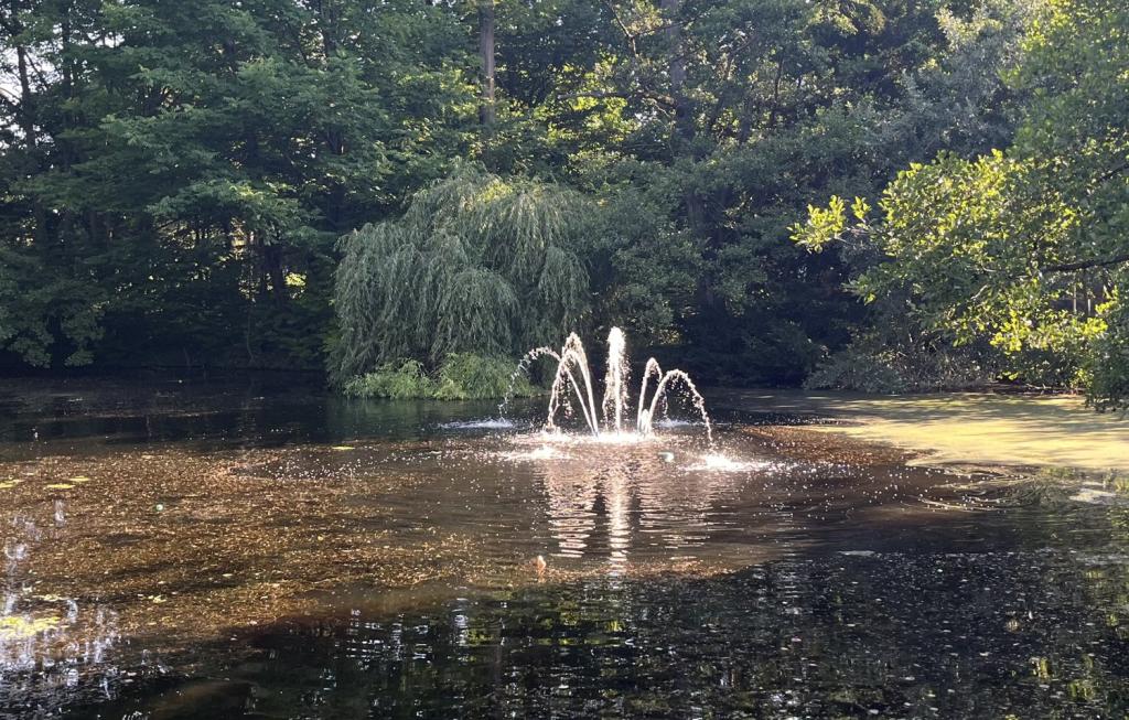 Parkanlage mit Wasserspiel 