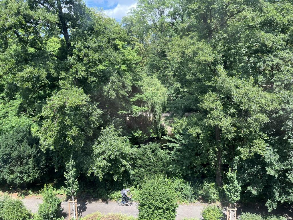 Ausblick auf den Park´´´