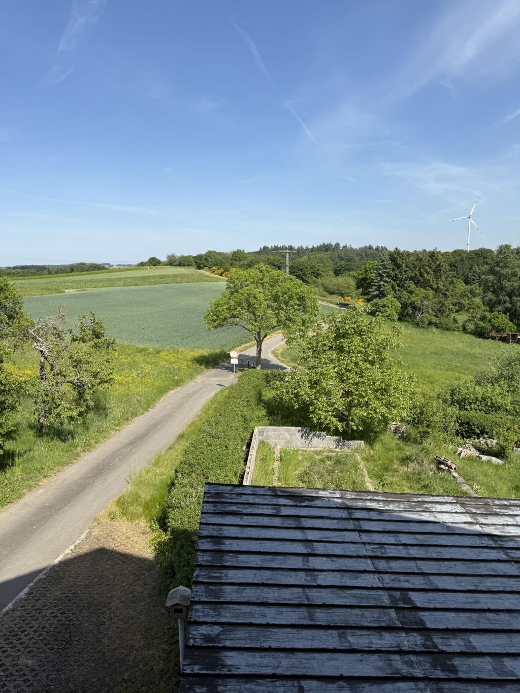 Aussicht vom Balkon