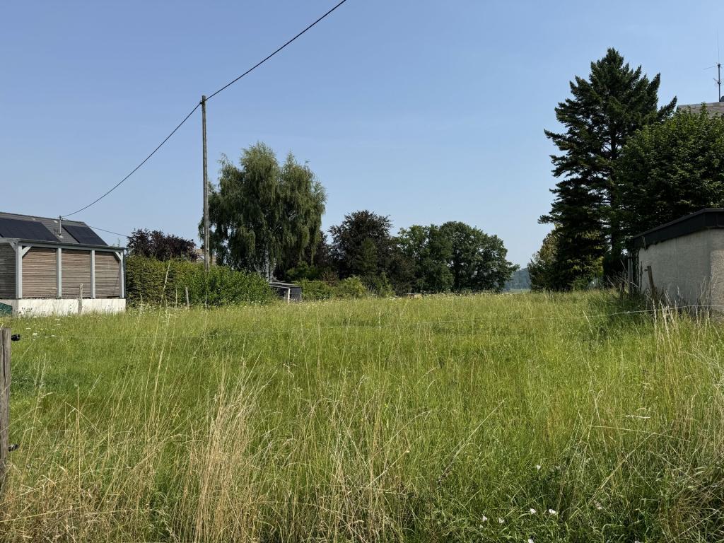 Ansicht von vorne