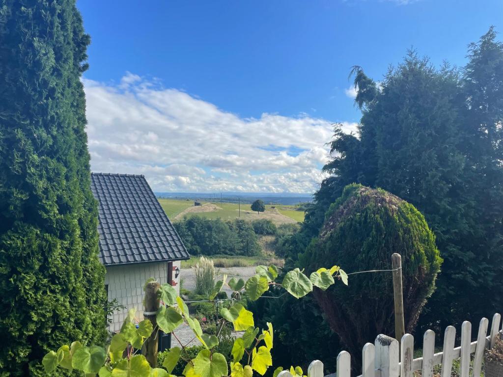 Ausblick