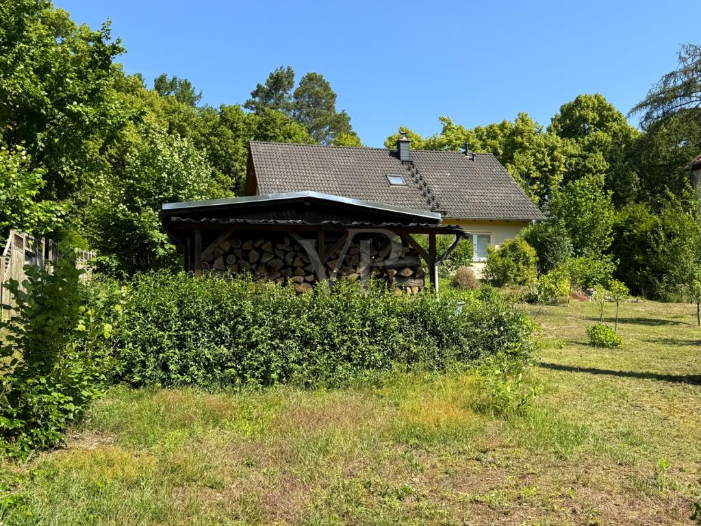 Blick aus dem Garten