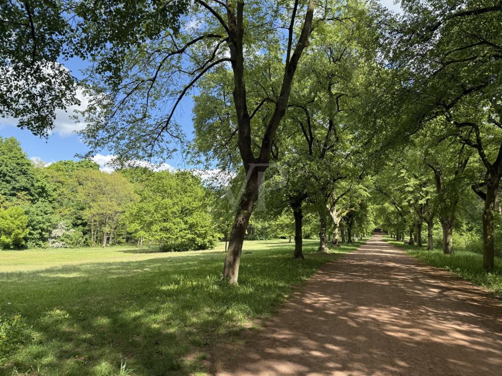 ein Ort zum wohlfühlen - die Schönholzer Heide