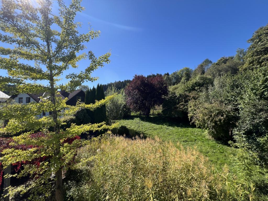 Blick in den Garten