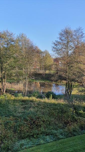 Teich vor dem Objekt