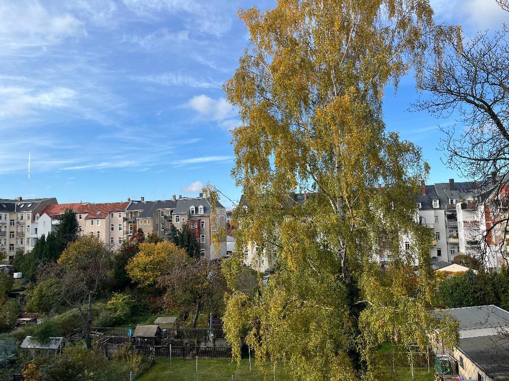 Ausblick ins Grüne vom Balkon