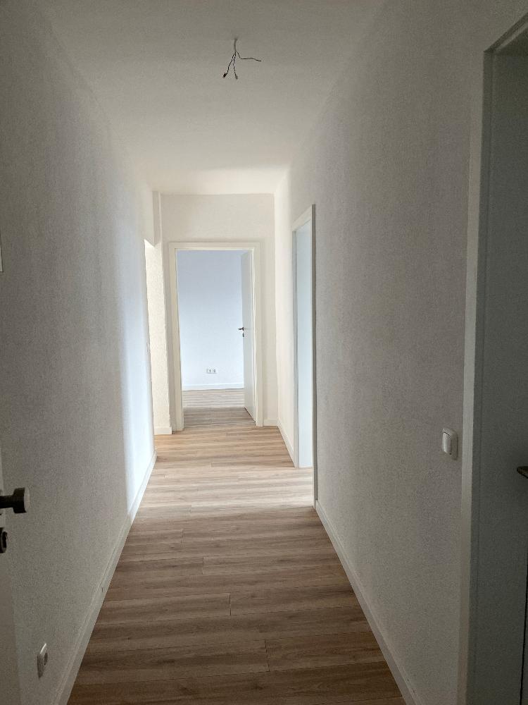 2 Raum Wohnung in ruhiger Lage EG rechts - Foto 5