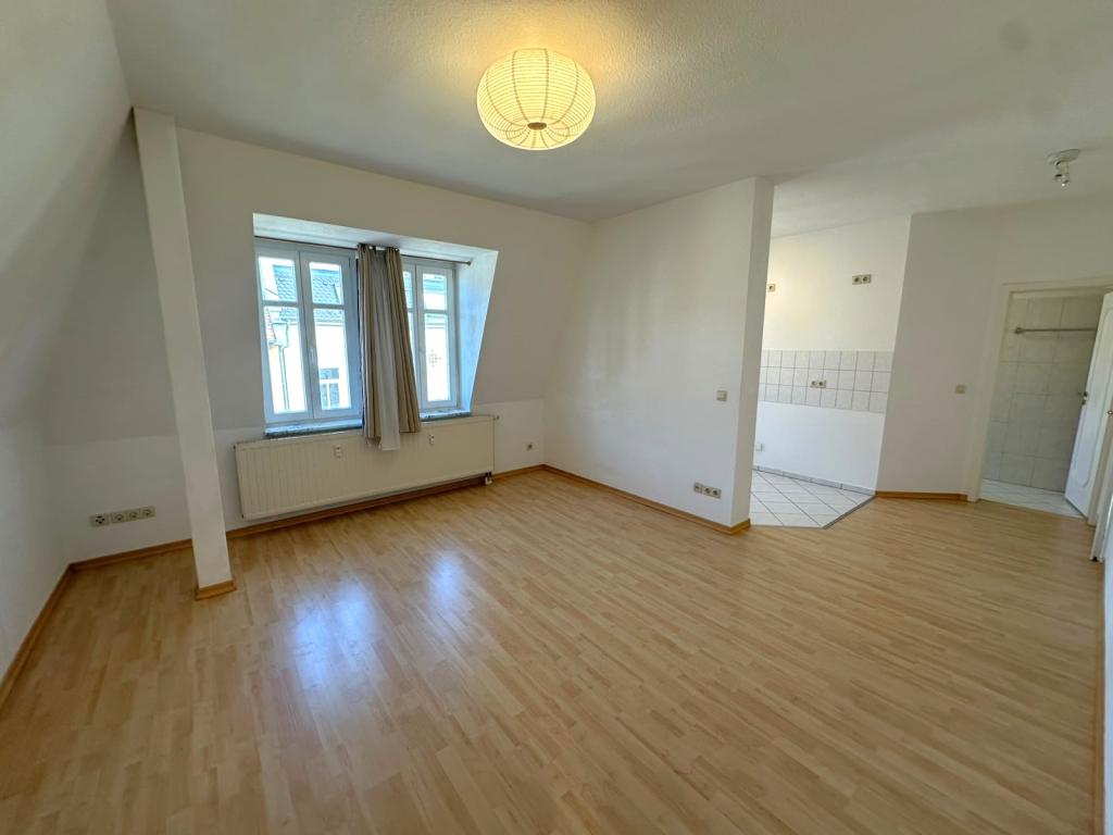 Wohnen im beliebtem Untermhaus! Schöne 1,5 Raum Wohnung nahe dem Hofweisenpark und der FH! - Foto 1