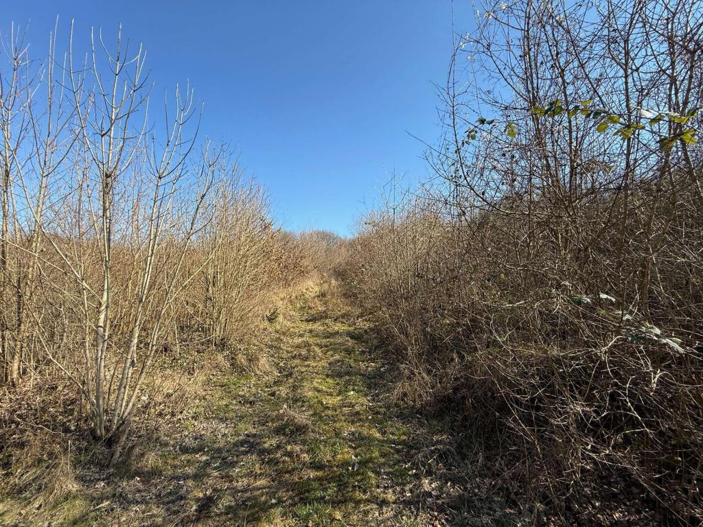 Weg hangaufwärts