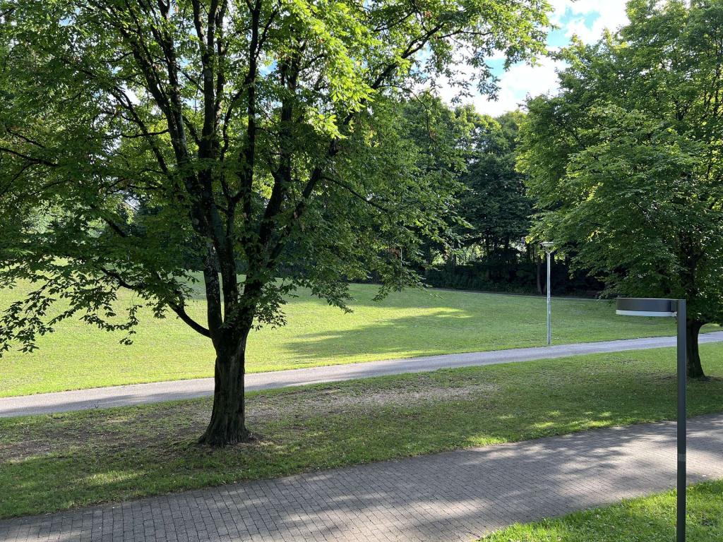 Ausblick