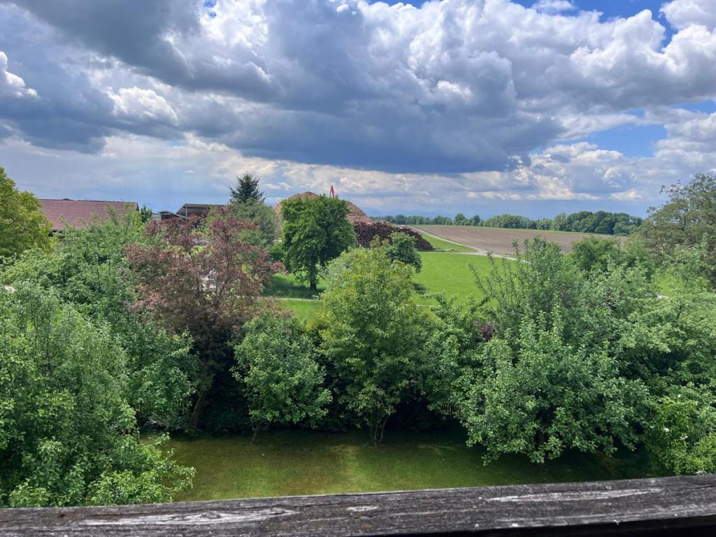 Blick vom Balkon