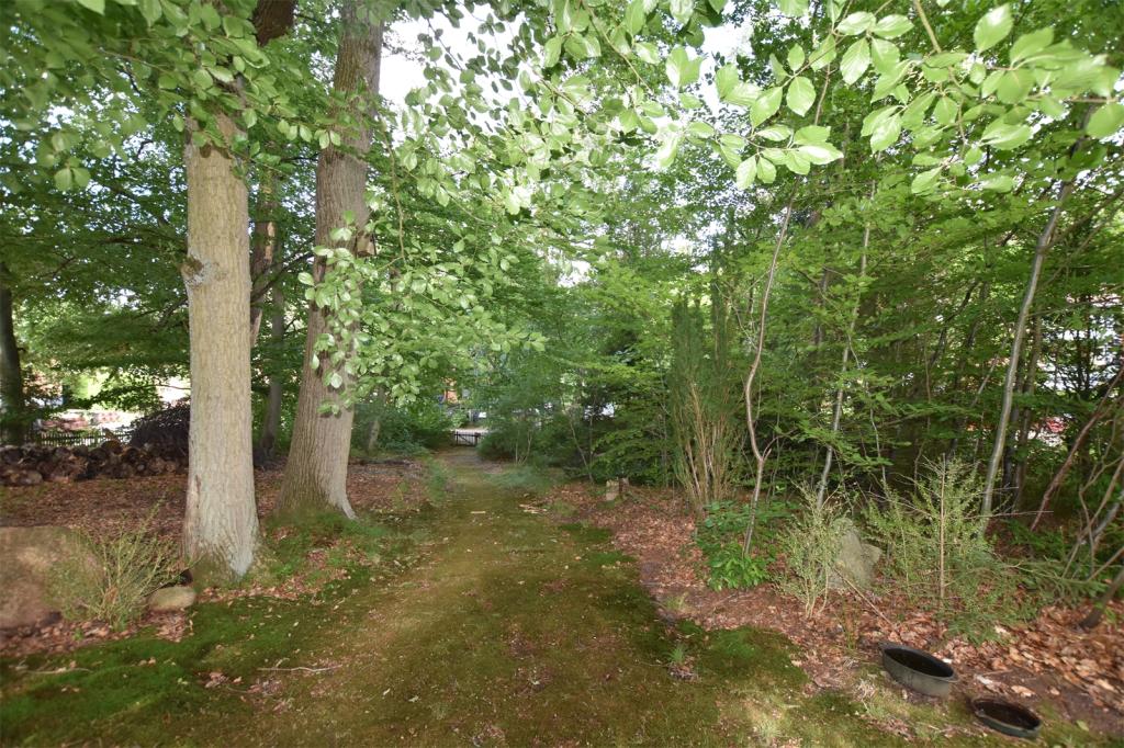 Waldweg