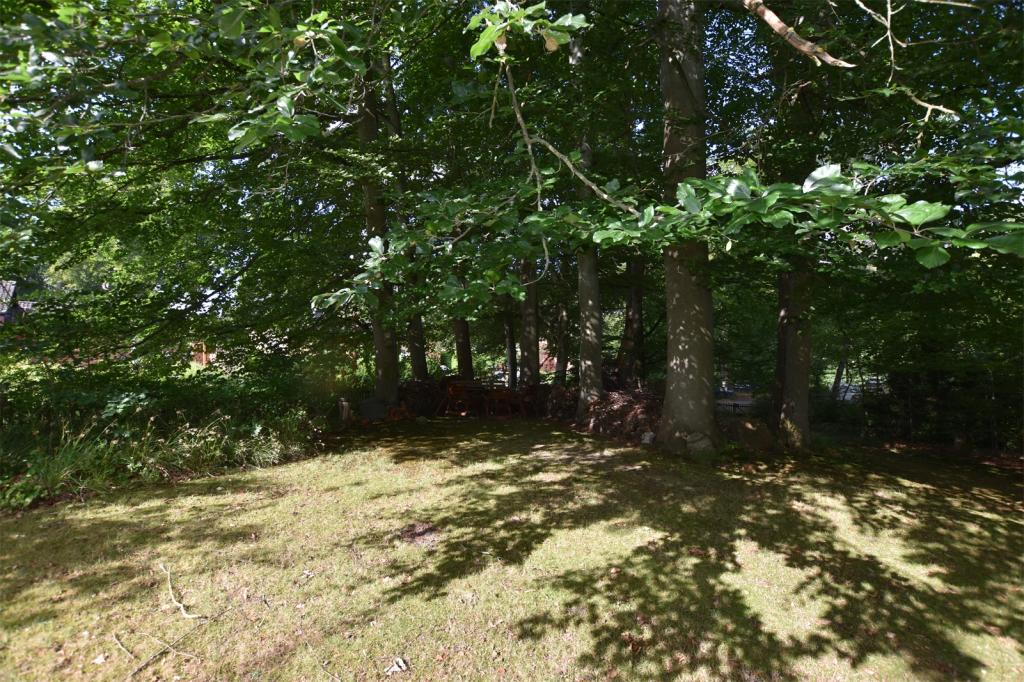 Waldgrundstück
