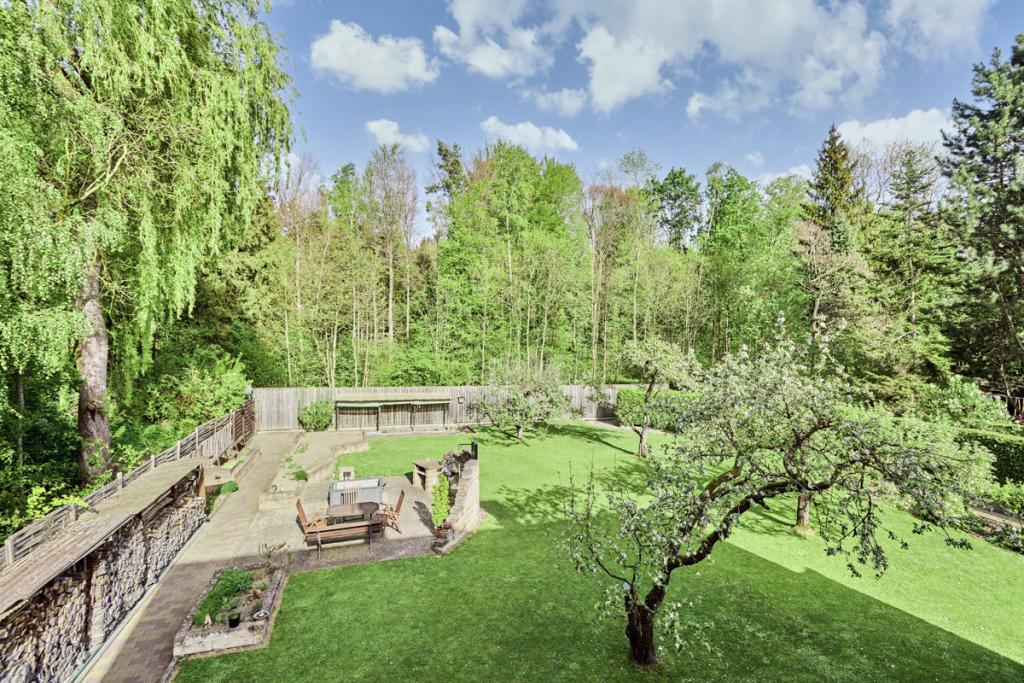 Blick in den Garten