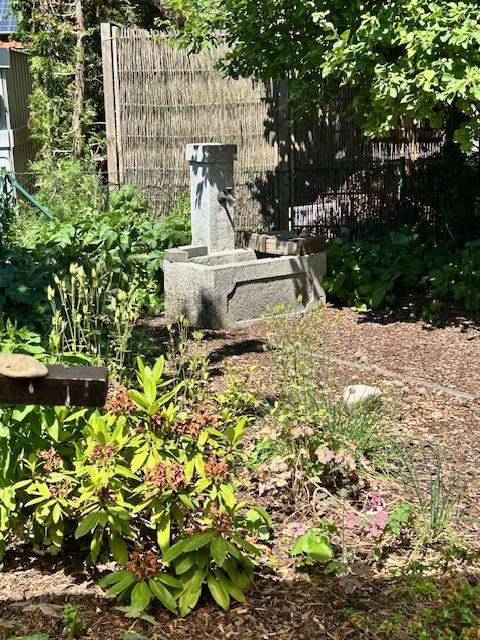 Detail Garten