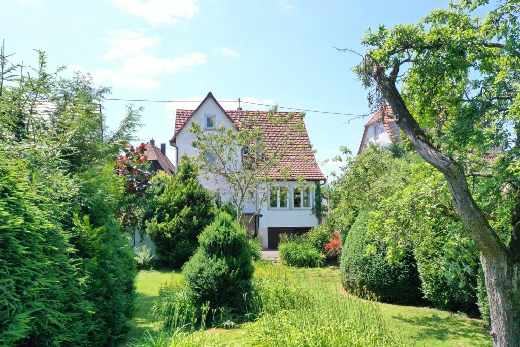 Drohnenfoto Haus Rückseite 