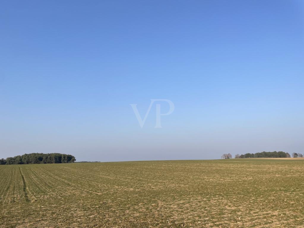 Landwirtschaftsfläche Wallitz