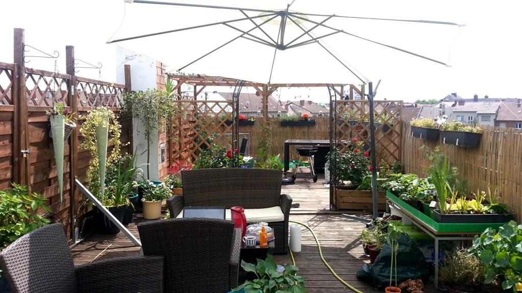 50m2 Dachterrasse.jpg