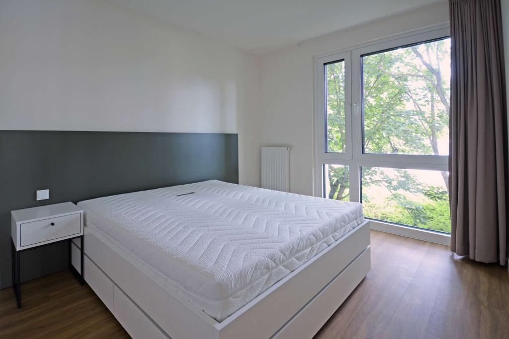 Neubau: Möblierte 2-Zimmer-Wohnung mit Terrasse - Foto 3