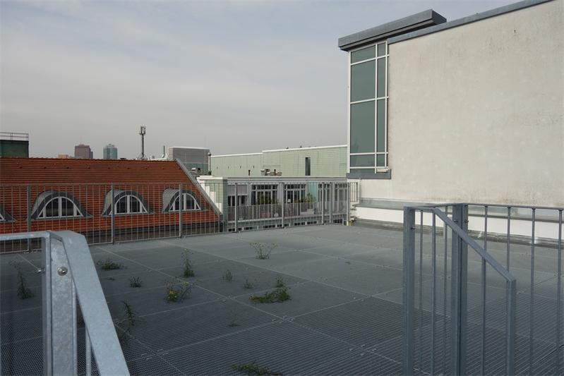 DSC07511