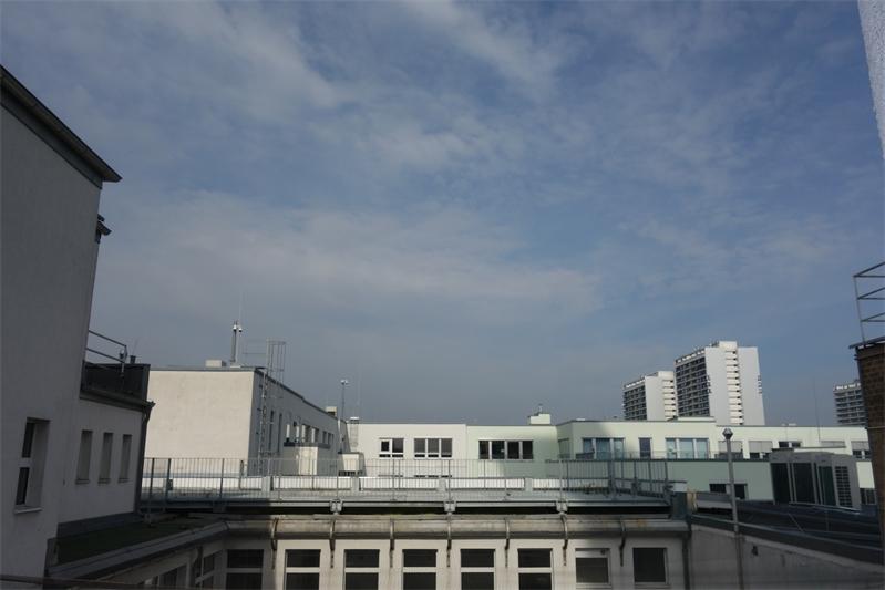 DSC07527