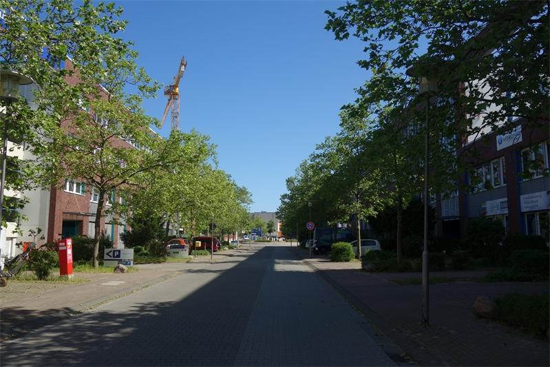 DSC08451