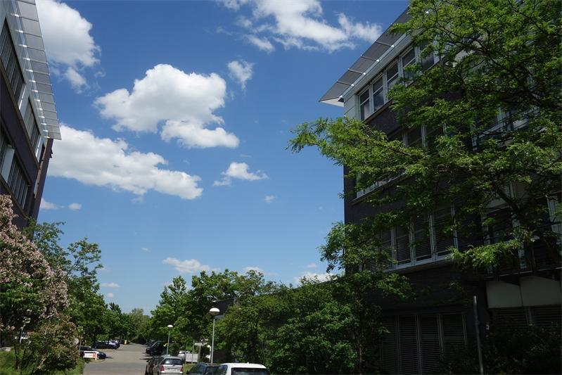 DSC00153