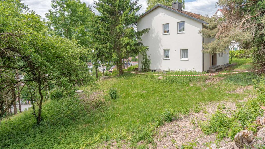 Blick über den Zaun nach Nordwesten
