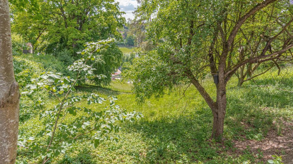 Blick von der nordöstlichen Parzellengrenze ins Tal