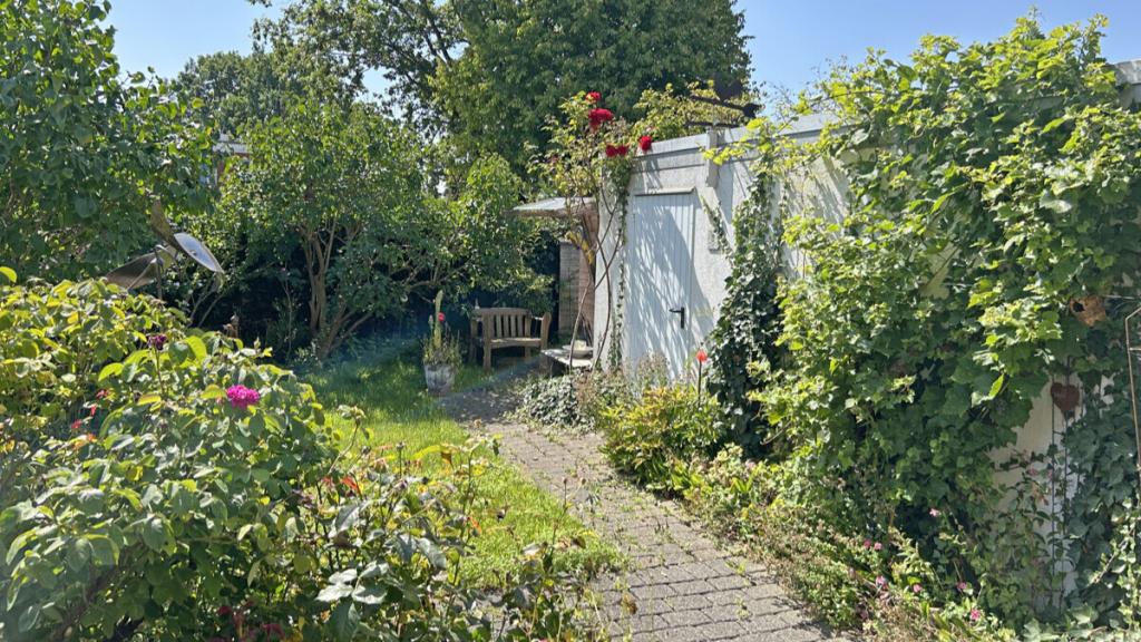 Blick in den Garten