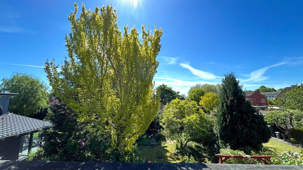 DG Ausblick