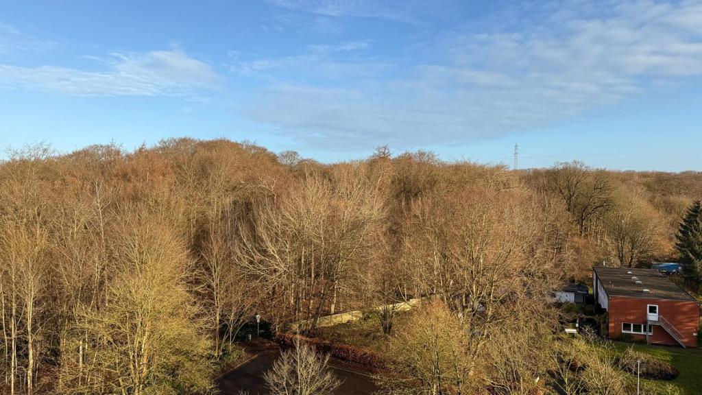 Ausblick