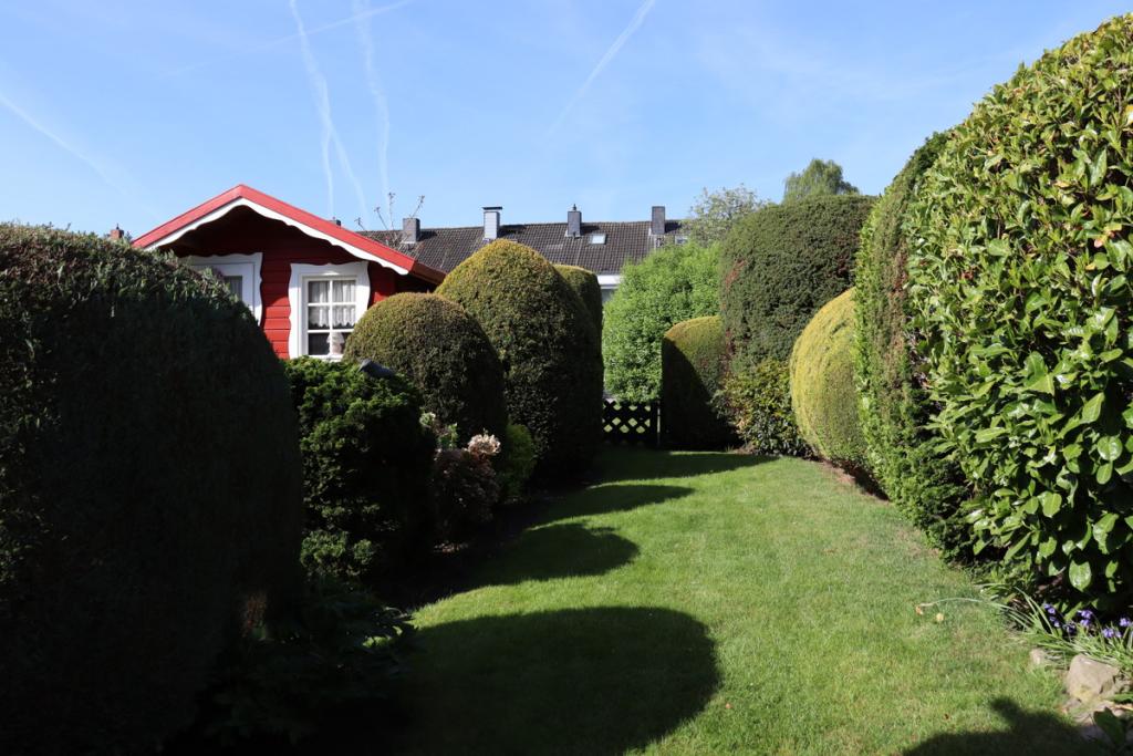 Blick in den Garten