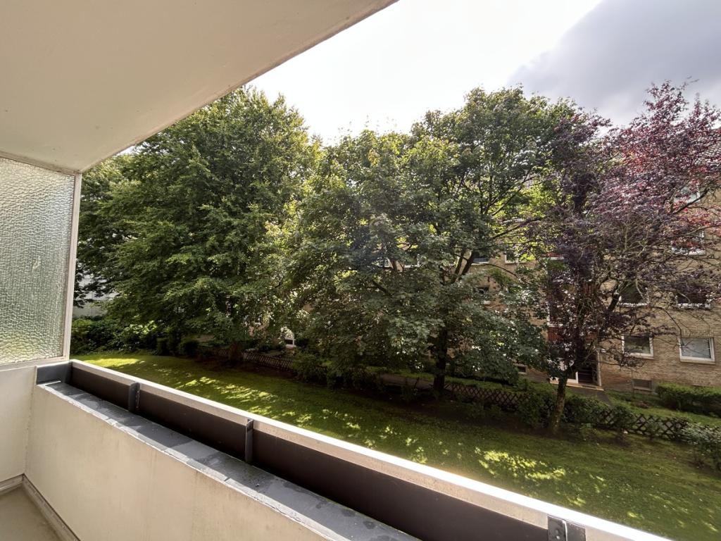 Blick ins Grüne