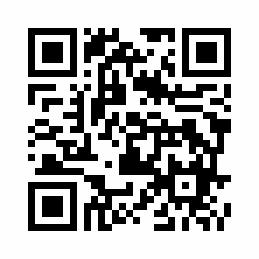 Website RE/MAX The Agency Berlin 