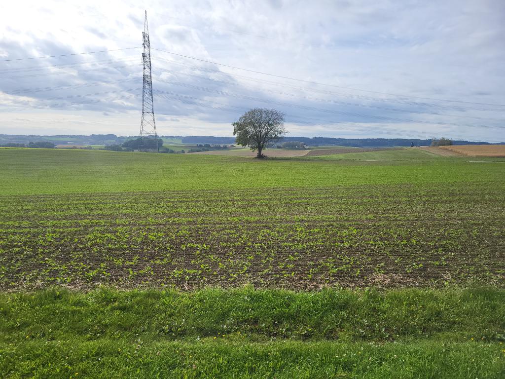 Ansicht