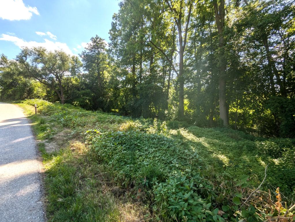 Ansicht 4
