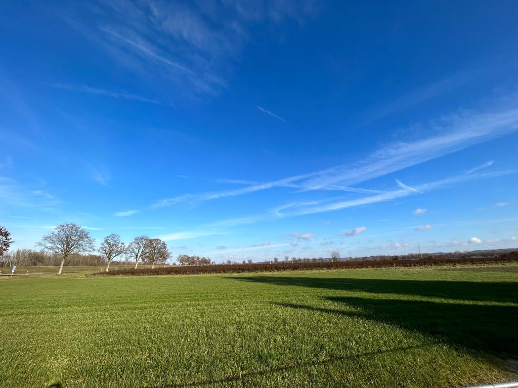 Angrenzendes Grünland