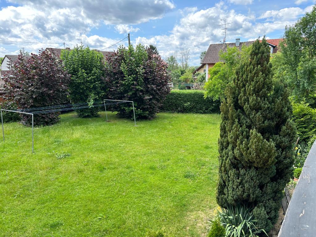 Blick ins Grüne