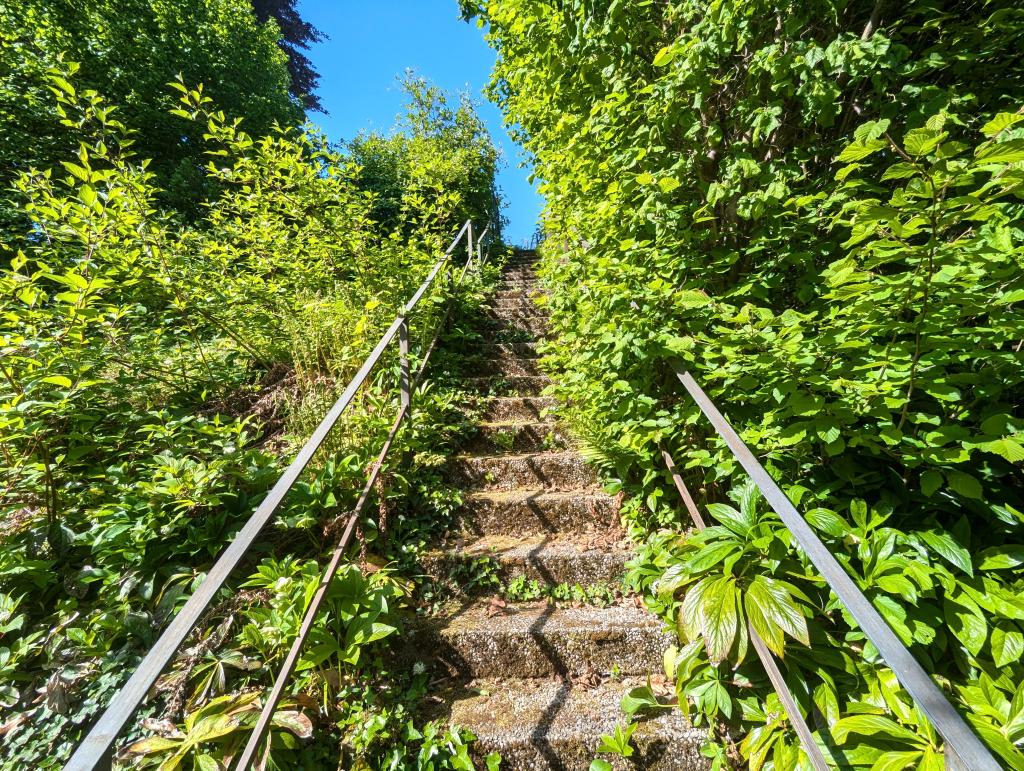 Zugang Treppe