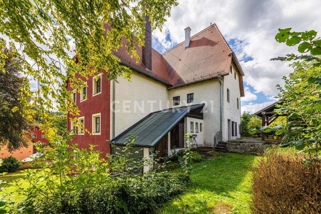 Garten hinten