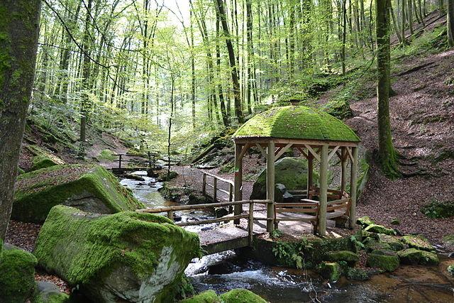 Die Karlstalschlucht bei Trippstadt