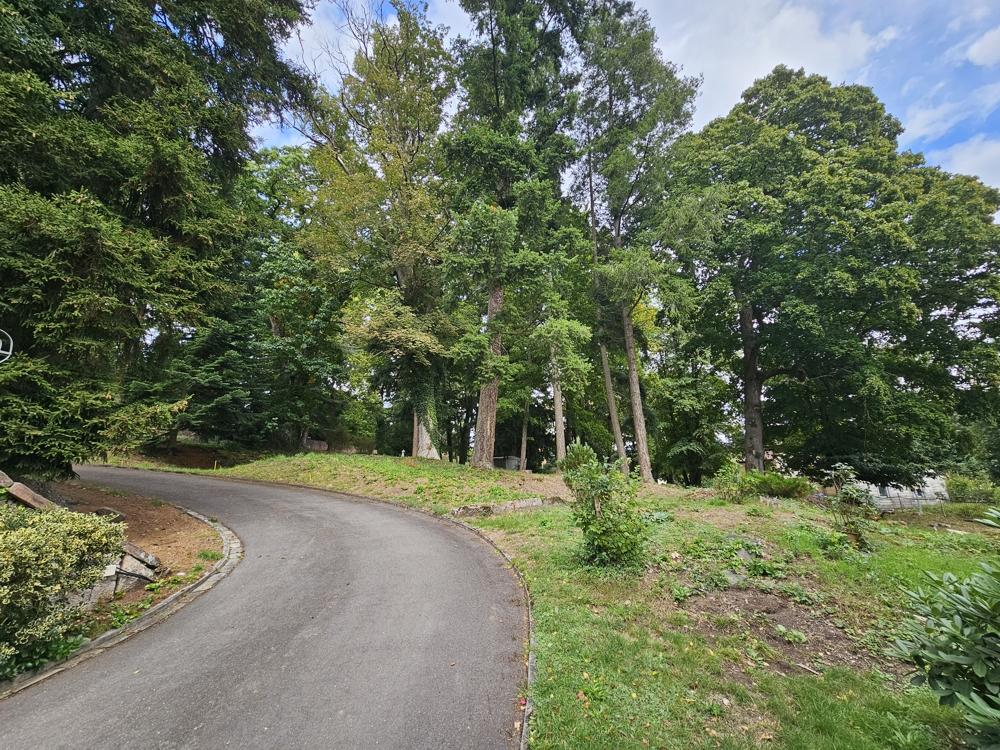 5264 - westlicher Bereich mit Zufahrt