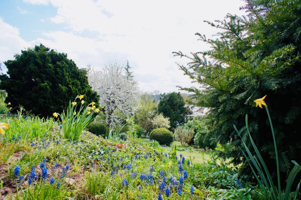 Blick in den Garten