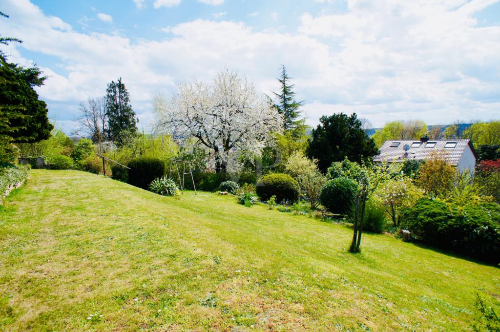 Blick in den Garten