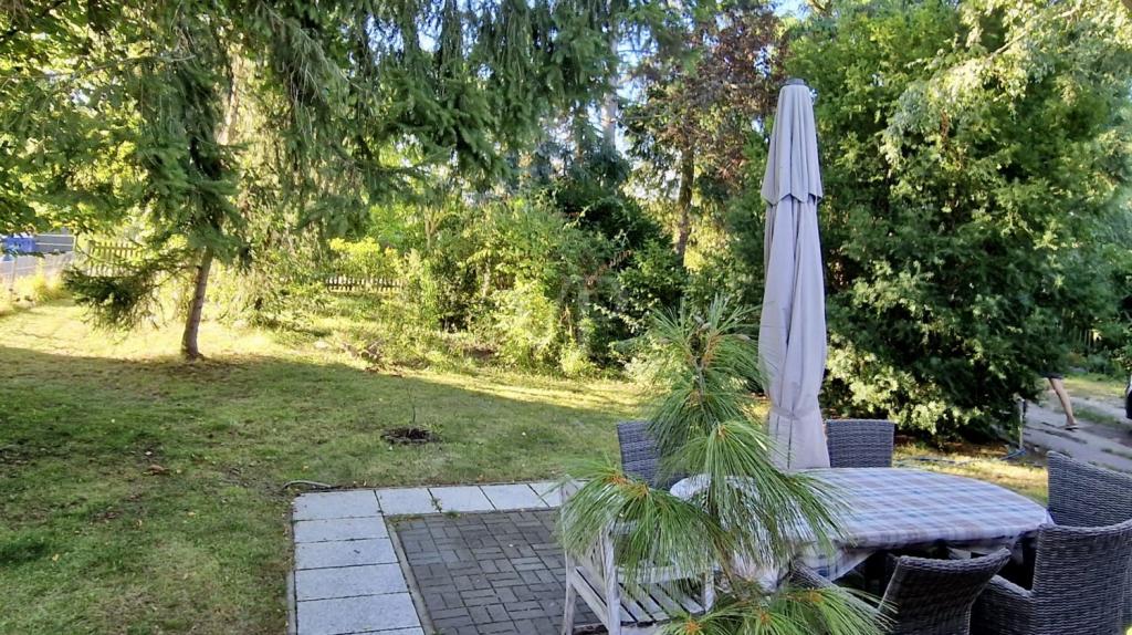 Sommerimpression