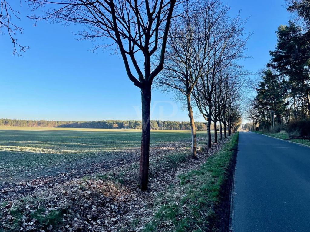 Blick auf die Straße