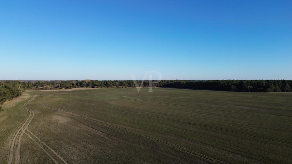 Weitblick