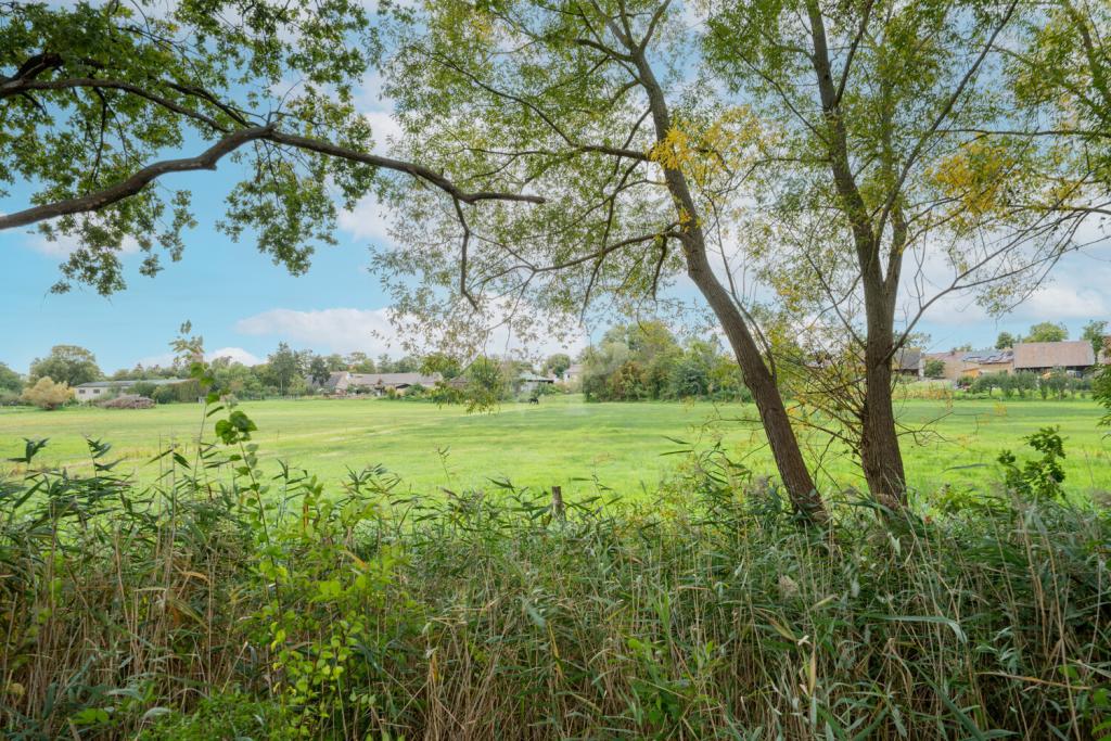 Blick ins Naturschutzgebiet